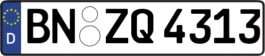 BN-ZQ4313
