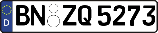 BN-ZQ5273