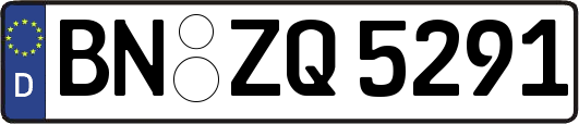 BN-ZQ5291