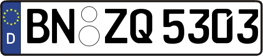 BN-ZQ5303