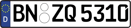 BN-ZQ5310