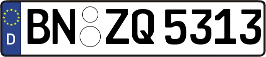 BN-ZQ5313