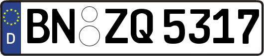 BN-ZQ5317