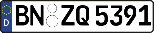 BN-ZQ5391