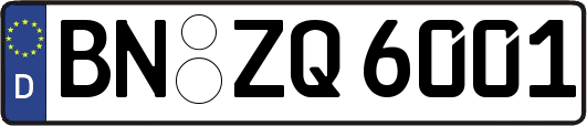 BN-ZQ6001