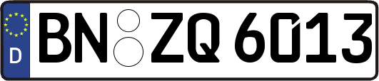 BN-ZQ6013