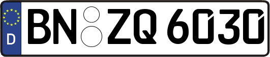 BN-ZQ6030