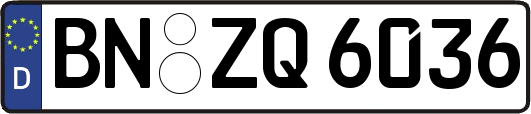 BN-ZQ6036