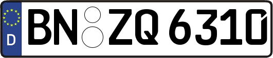 BN-ZQ6310