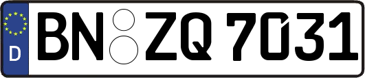 BN-ZQ7031