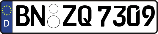 BN-ZQ7309