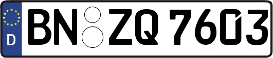 BN-ZQ7603