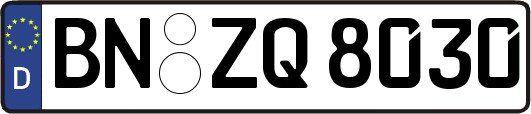 BN-ZQ8030