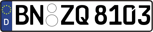 BN-ZQ8103
