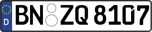 BN-ZQ8107
