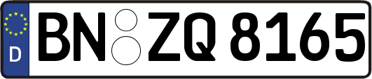 BN-ZQ8165