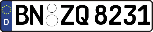 BN-ZQ8231