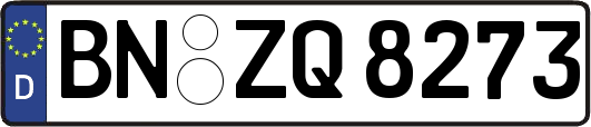 BN-ZQ8273