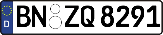 BN-ZQ8291