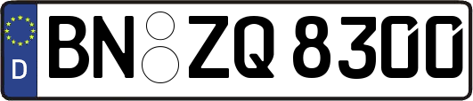 BN-ZQ8300