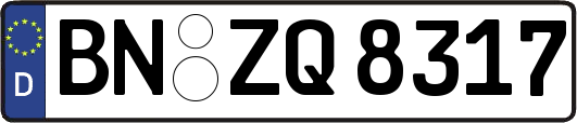BN-ZQ8317