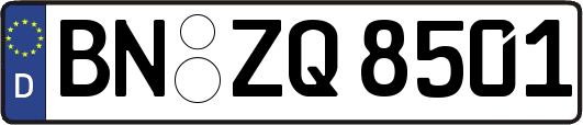 BN-ZQ8501