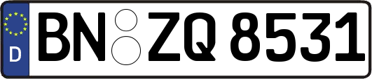 BN-ZQ8531