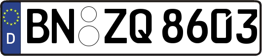 BN-ZQ8603