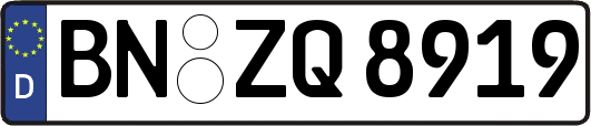 BN-ZQ8919