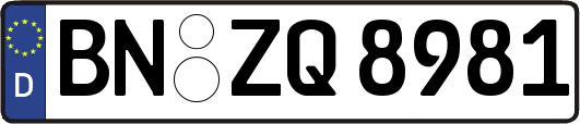 BN-ZQ8981