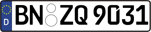 BN-ZQ9031