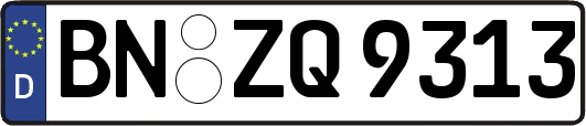 BN-ZQ9313