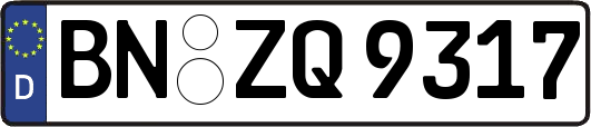 BN-ZQ9317