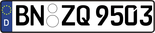 BN-ZQ9503
