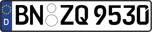 BN-ZQ9530