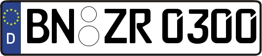 BN-ZR0300