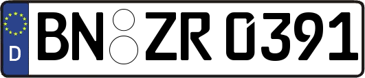 BN-ZR0391