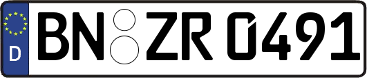 BN-ZR0491