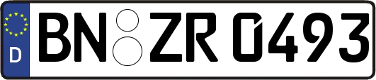 BN-ZR0493