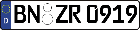 BN-ZR0919