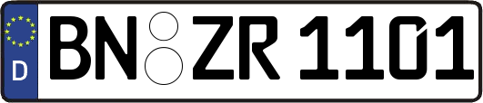 BN-ZR1101