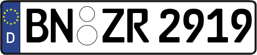BN-ZR2919