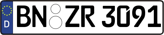 BN-ZR3091