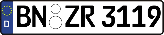 BN-ZR3119