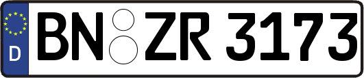 BN-ZR3173
