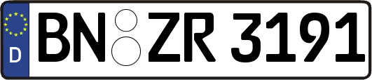 BN-ZR3191