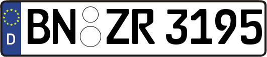 BN-ZR3195
