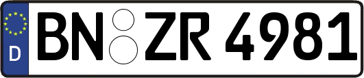 BN-ZR4981