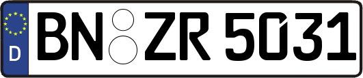 BN-ZR5031