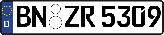 BN-ZR5309